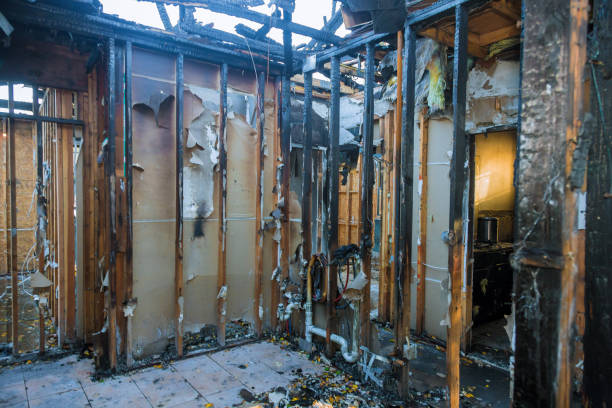 Professional Fire Damage Removal technician working in Faribault, MN